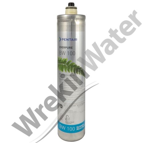 BW100 Water Filter replacement cartridge EV966816